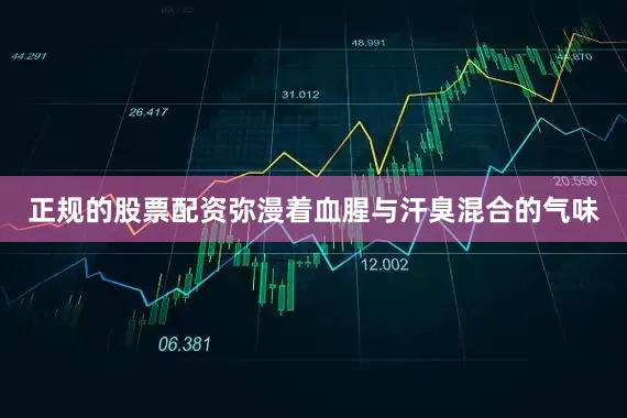 正规的股票配资弥漫着血腥与汗臭混合的气味