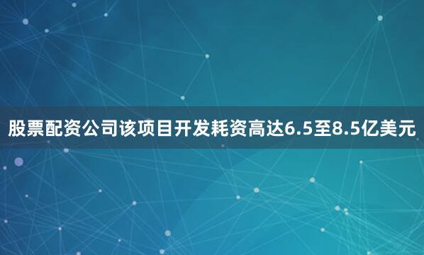股票配资公司该项目开发耗资高达6.5至8.5亿美元